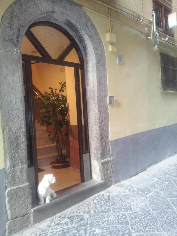 Dei Gerolomini Hotell Neapel Exteriör bild